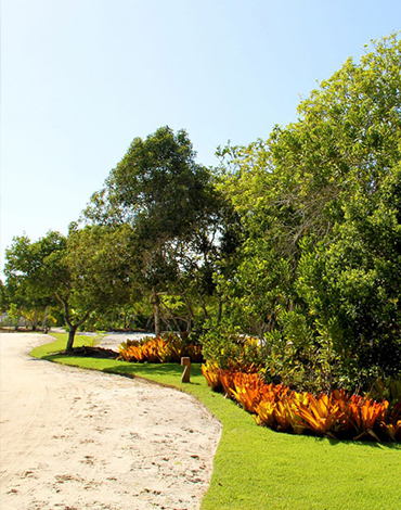 Alex Sá Gomes Paisagismo | Residência em Trancoso - Praia de Itapororoca