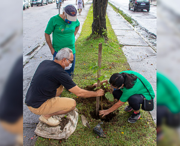 Alex Sá Gomes Paisagismo | Campanha Ipê Solidário - 110 anos de Itabuna/BA