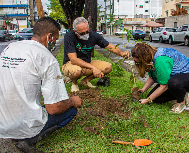Alex Sá Gomes Paisagismo | Campanha Ipê Solidário - 110 anos de Itabuna/BA