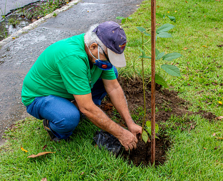 Alex Sá Gomes Paisagismo | Campanha Ipê Solidário - 110 anos de Itabuna/BA