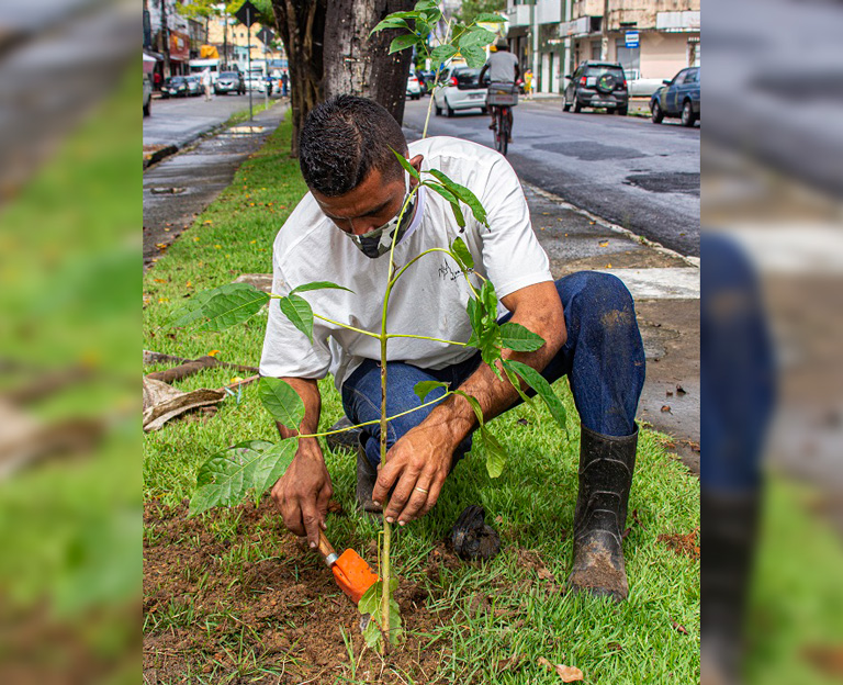 Alex Sá Gomes Paisagismo | Campanha Ipê Solidário - 110 anos de Itabuna/BA